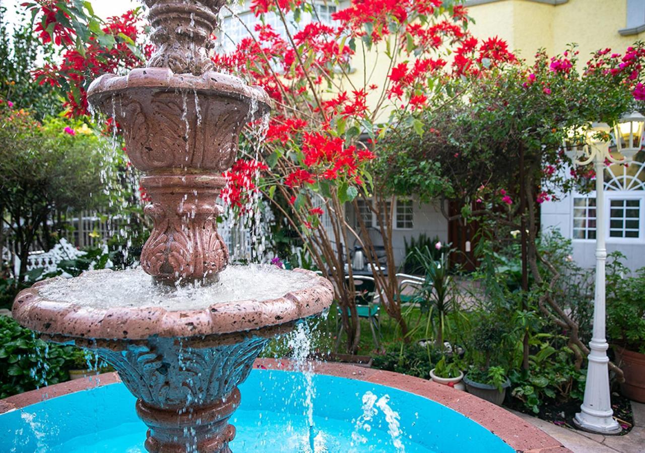 Casa San Pedro Bed & Breakfast Ciudad de México Exterior foto