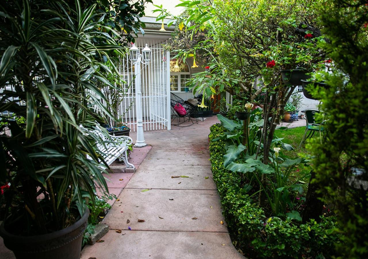 Casa San Pedro Bed & Breakfast Ciudad de México Exterior foto